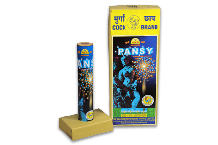 Pansy