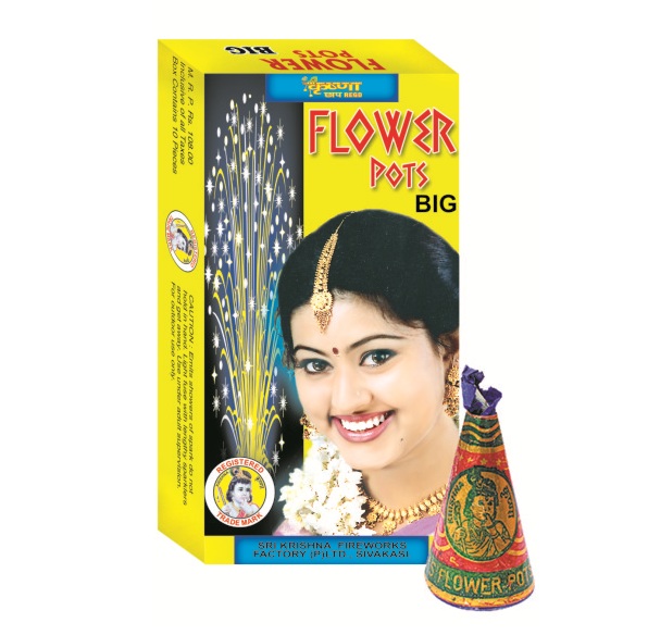Big Flower Pots
